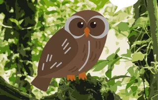 Cartoon owl sitting on a branch with a cartoon speech bubble containing '...'